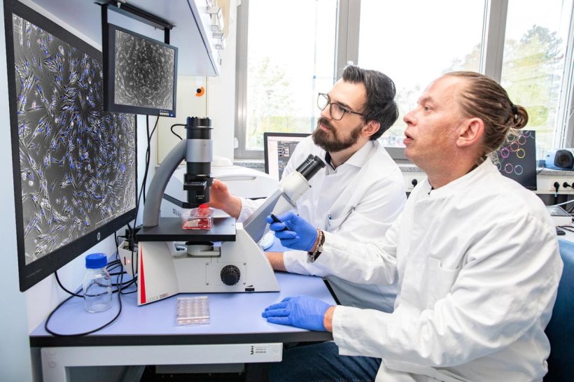 Dr. Maximilian Binter und Dr. Heiko Fuchs sitzen an einem kleinen Tisch, auf...