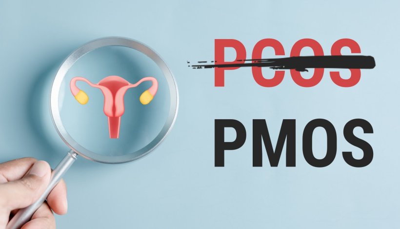A magnifiying glass is positioned over the illustration of a womans ovaries. On...