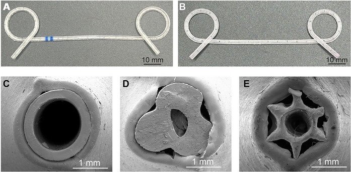 (A,B) 3D printed stereolithography (SLA) stents of 2 final candidates, (A)...