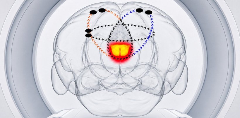 Schematic illustration of electrical field interactions designed to increase...