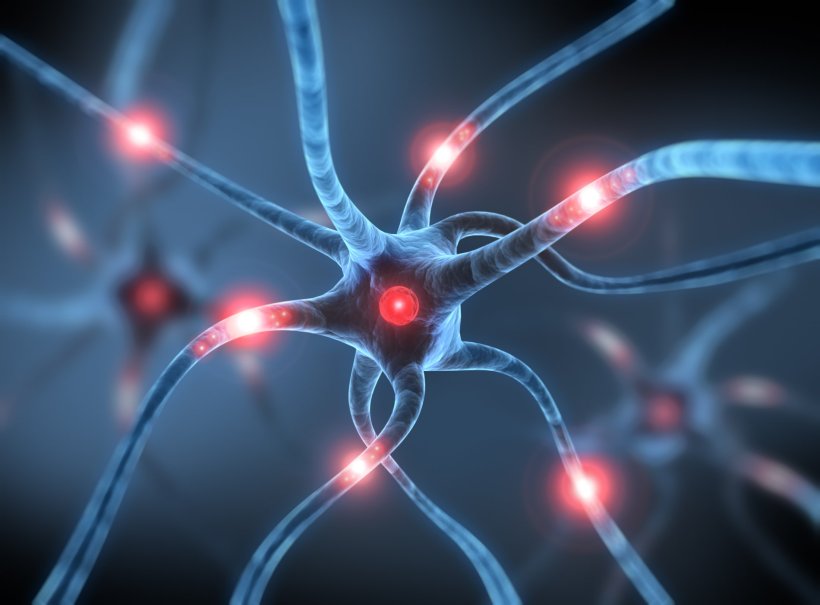 3D-illustration neuronaler Zellen, die Übertragung von Nervenreizen ist mit...
