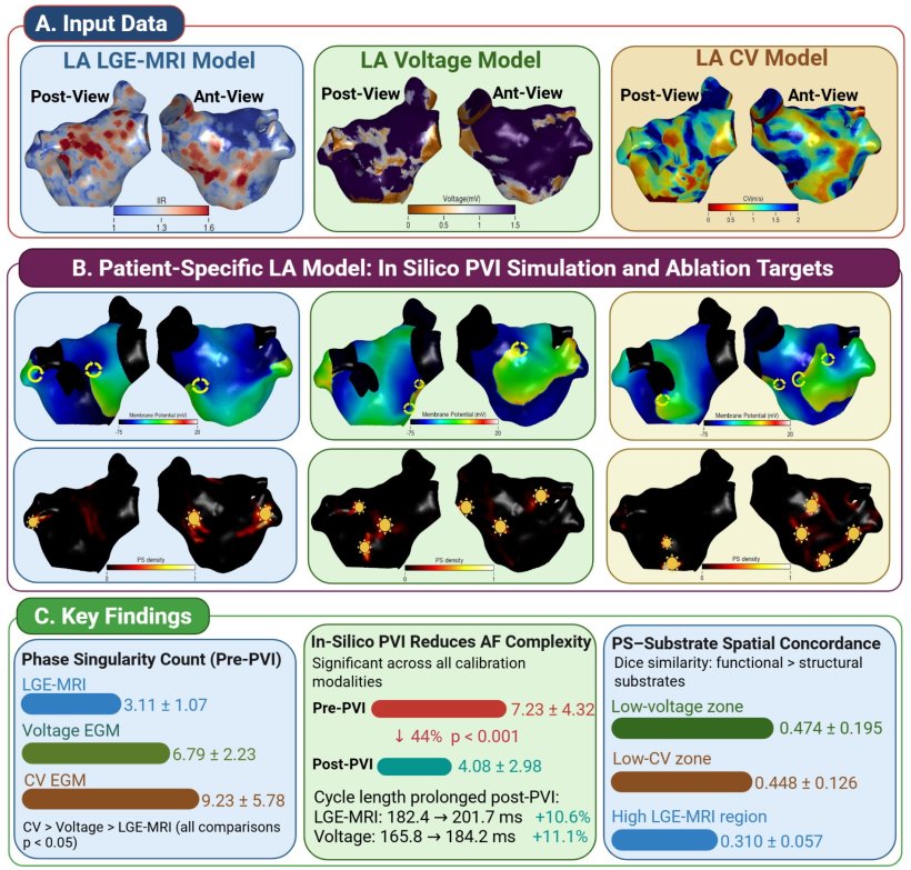 Graphical abstract of the research findings