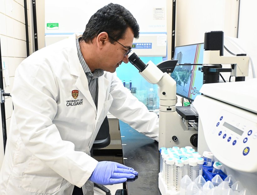 A scientist in a white lab coat is looking into the eyepiece of a microscope in...