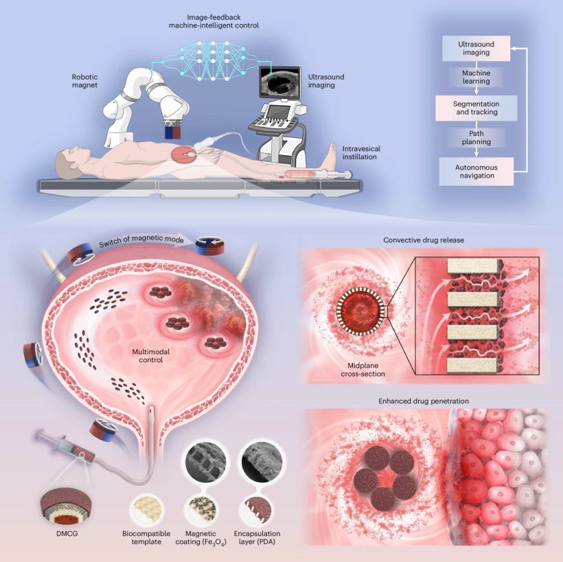 Proof of concept for targeted delivery, selective release and ultrafast...