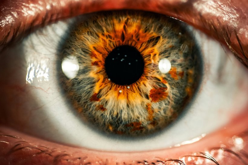 Closeup photo of a human eye