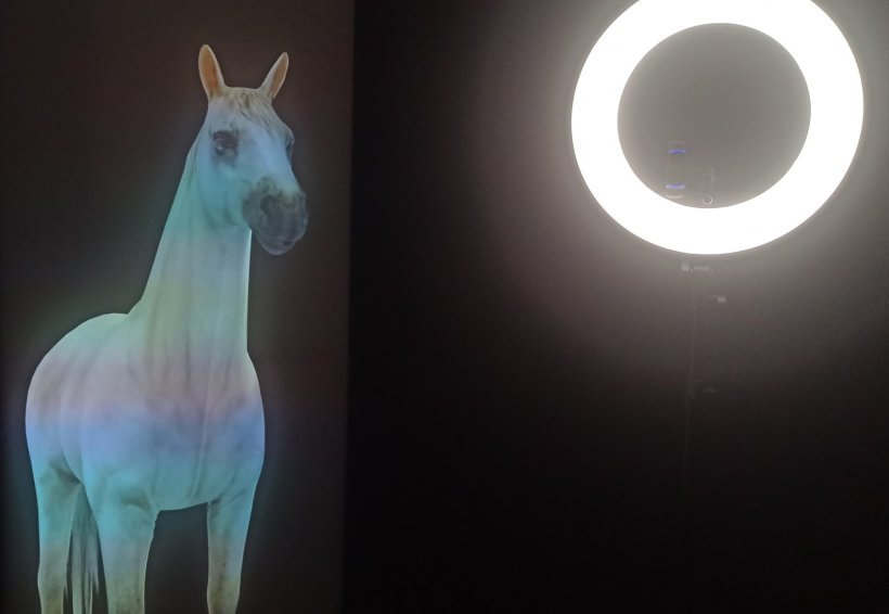 Kunst-Installation Smart Hans: Ein in Neonfarben beleuchtetes Pferd und ein...