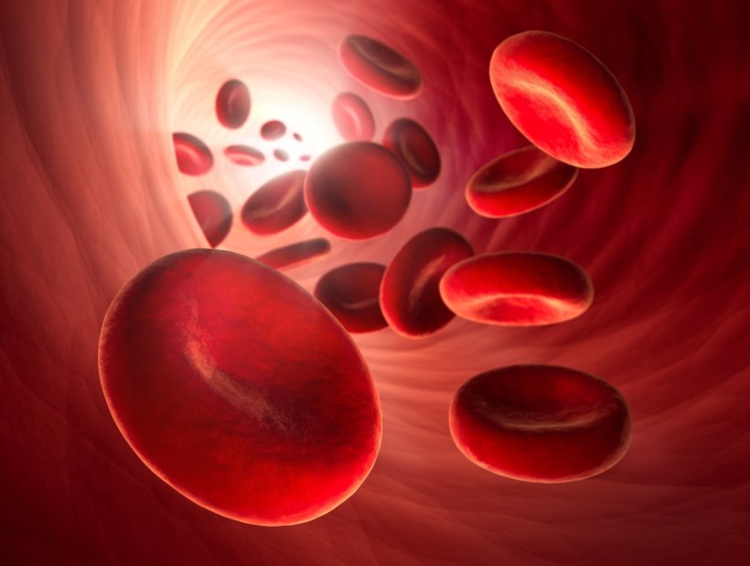 3D- Illustration zeigt rote blutkörperchen in der Arterie