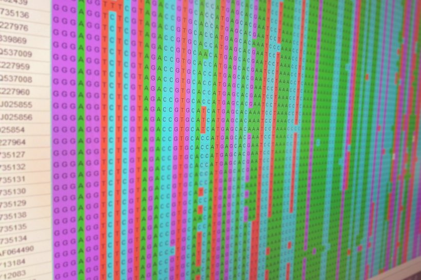 Mehrfarbigh markierter genetischer Code eines Hepatitis-E-Virus auf einem...