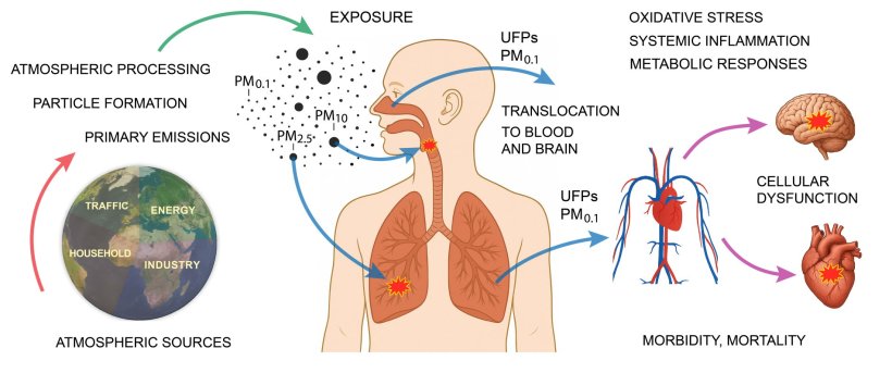 Scheme of the sources and health effects of ultrafine particles (UFPs): UFPs...