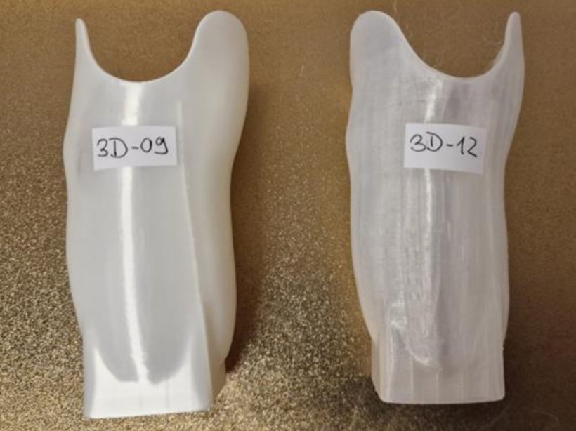 3D-gedruckte Testprothesen aus ausgewählten Biocompounds