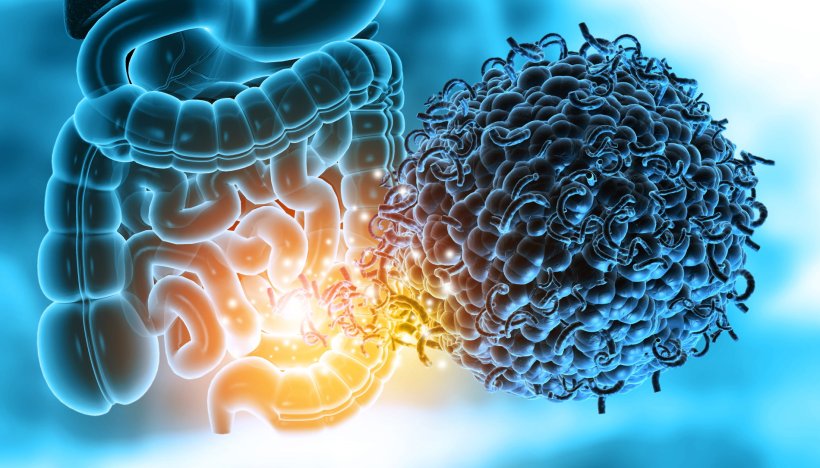 3d illustration of human colon with microbiome, bacteria