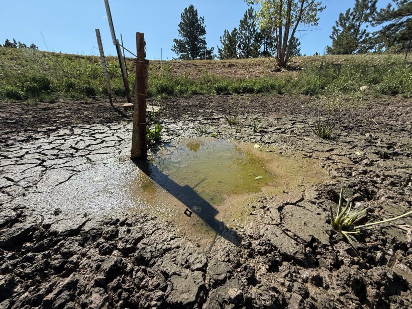 A dried-up waterhole with very little water, cracked ground and a measuring...