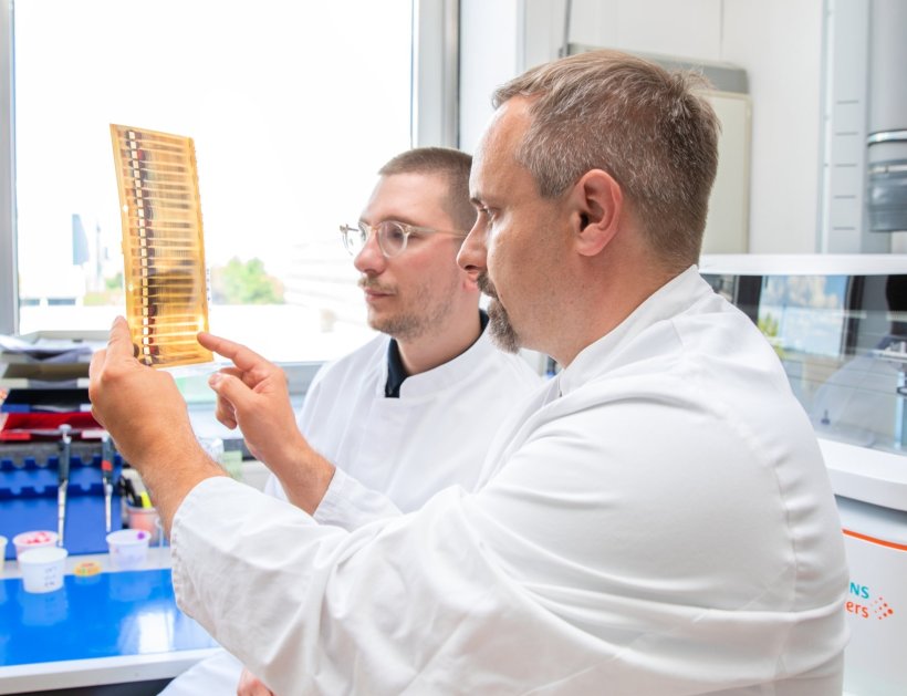 Zwei Neurologen betrachten ein Antikörper-Muster aus Liquor- und...