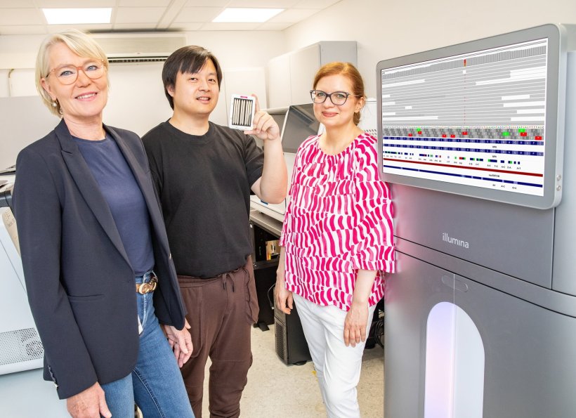 Im MHH-Institut für Humangenetik (von links): Prof. Dr. Doris Steinemann, Dr....