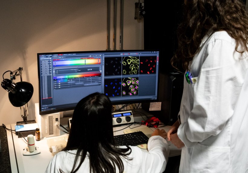 Two researchers are looking at research data on a computer screen