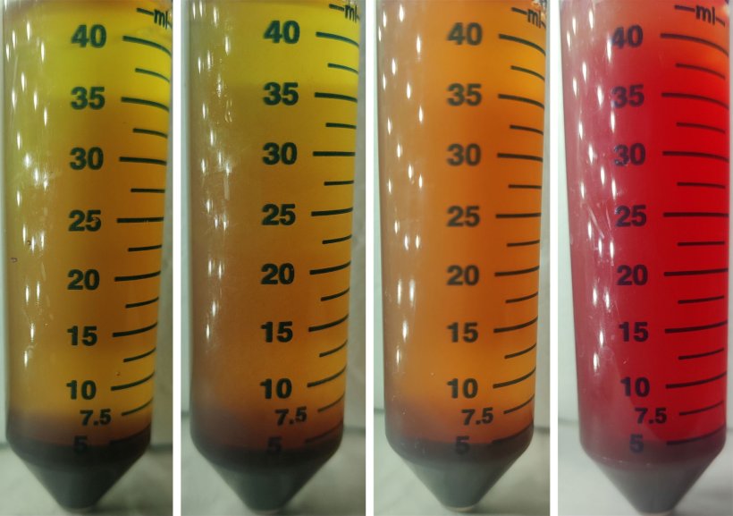 Four plastic cylinders with measuring scales, filled with liquids in various...