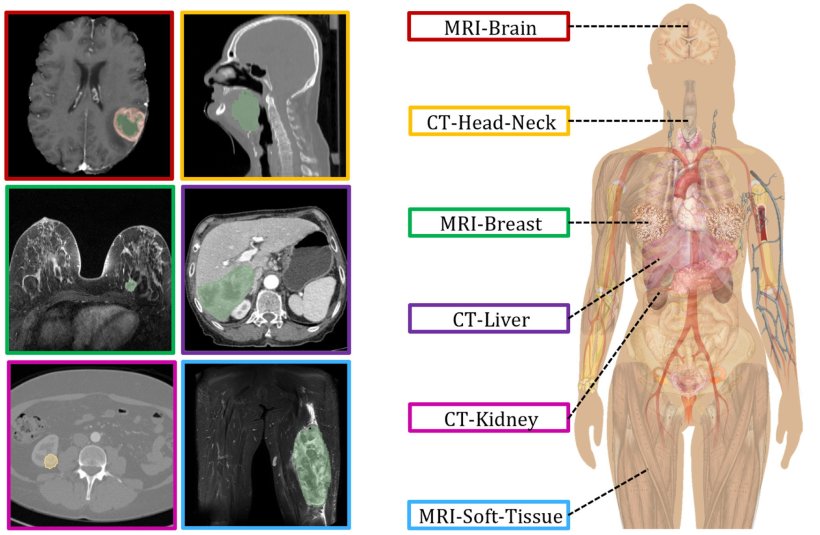 Visuelle Zusammenfassung der erfassten Datensätze verschiedener anatomischer...
