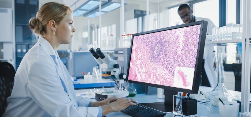 EIZO presented its first monitor developed specifically for digital pathology