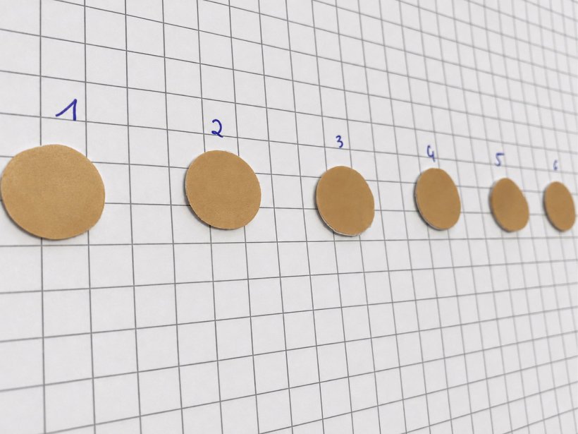 Sechs numerierte runde hellbraune Punkte auf einem karierten Whiteboard