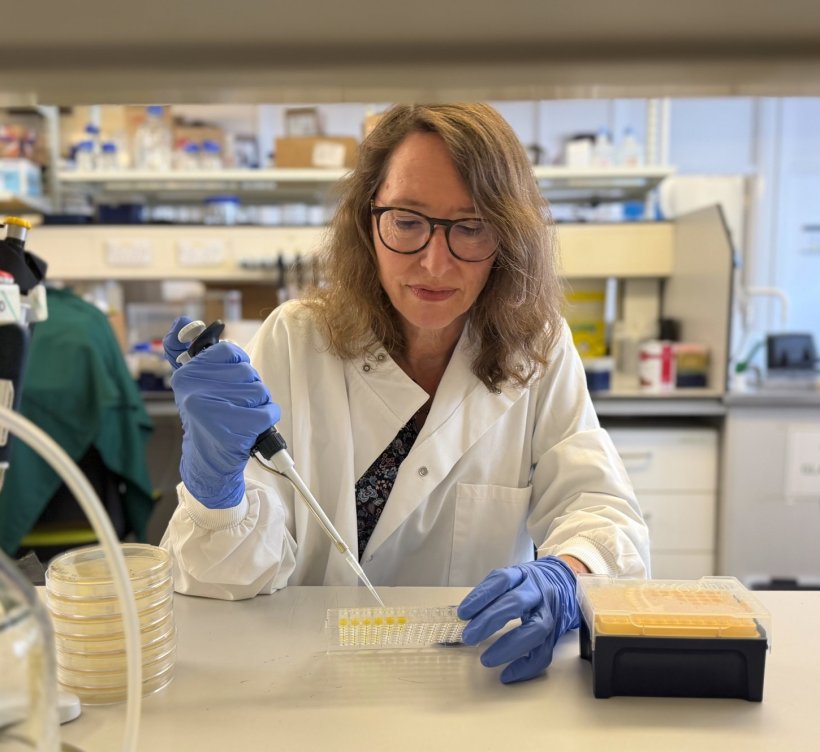 Professor Jennifer Rohn is using a pipette to dispense liquid into a plate well...