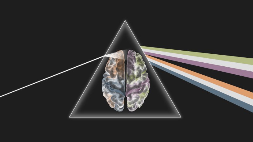 An illustration of a human brain in a triangular prism reflecting a beam of...