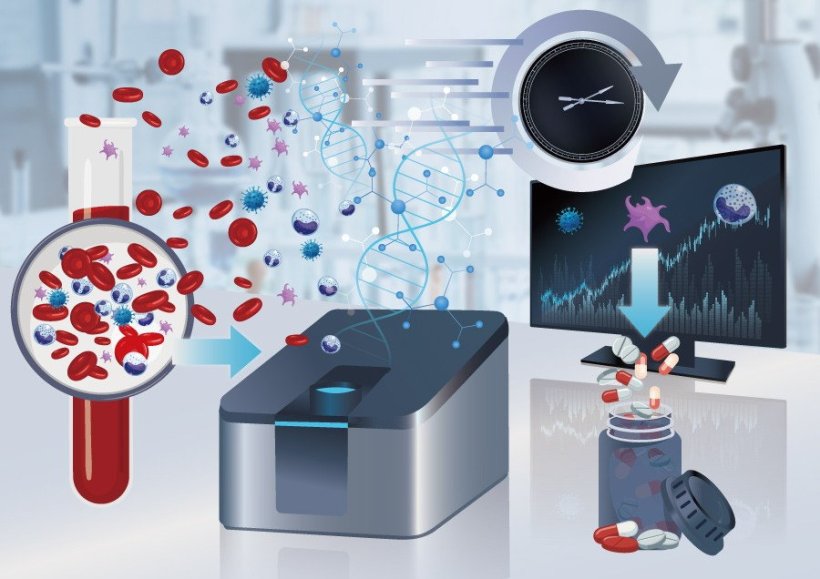 Overview of a rapid diagnostic workflow for fungal bloodstream infections: Host...