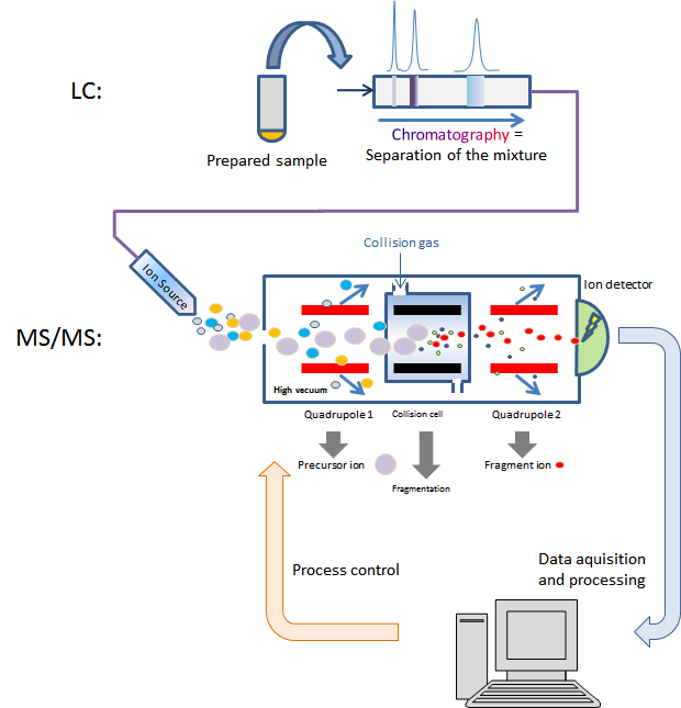 Liquid chromatography mass spectrometry.