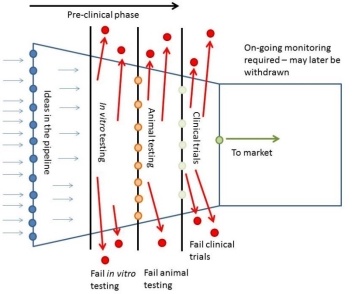 Schematic depicting the drug development process.