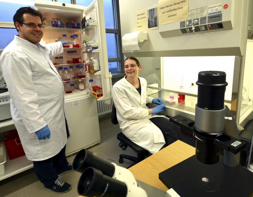 Dr. Björn Kowalewski und Mai-Britt Ilse haben für die Studie mit Zellkulturen...
