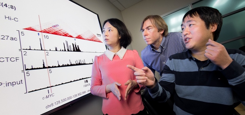 Study authors (from left) Ying Shao, Yu Liu, PhD, and John Easton, PhD