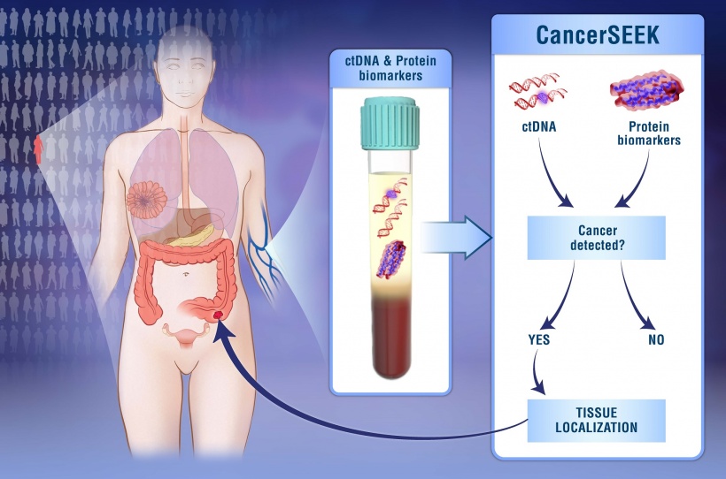 Single blood test screens for 8 cancer types