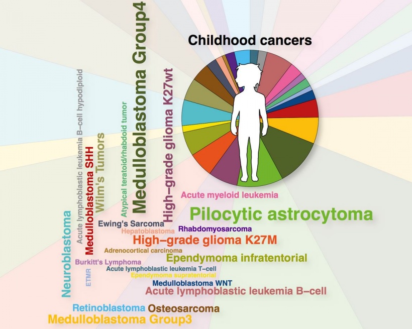 graphic protraying the diversity of childhood cancers