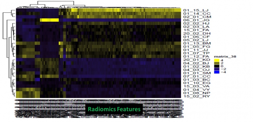 Heat map generated from 1700 parameters calculated from CT images of primitive...