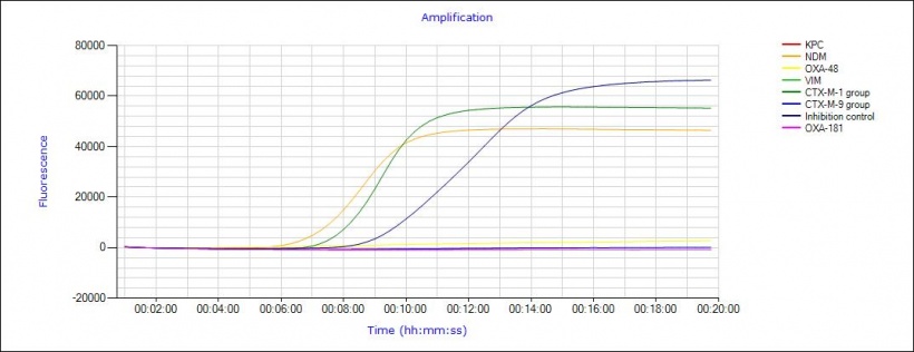 Real-Time detection of NDM and CTX-M positive sample