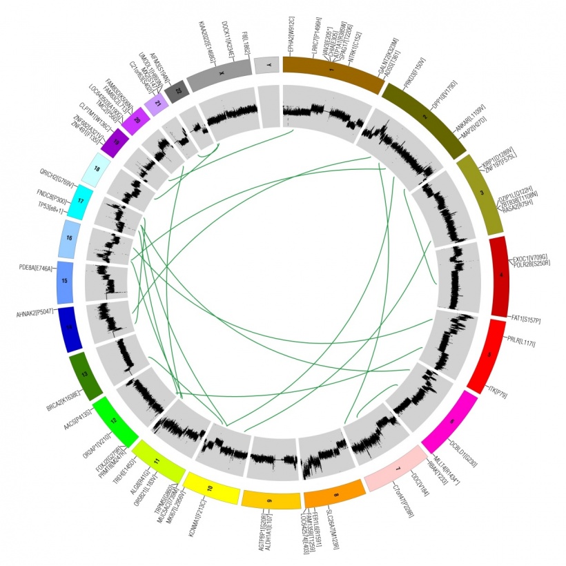 The Cancer Genome Atlas (TCGA) is a project to catalogue genetic mutations...