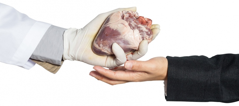 Organspende: Urologen erneuern Ruf nach Widerspruchslösung