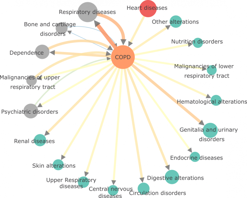 Comorbidity Network diagram for elderly COPD in the Catalan population, 2018