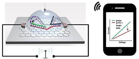 Illustration of graphene-based SNP detection chip wirelessly transmitting...