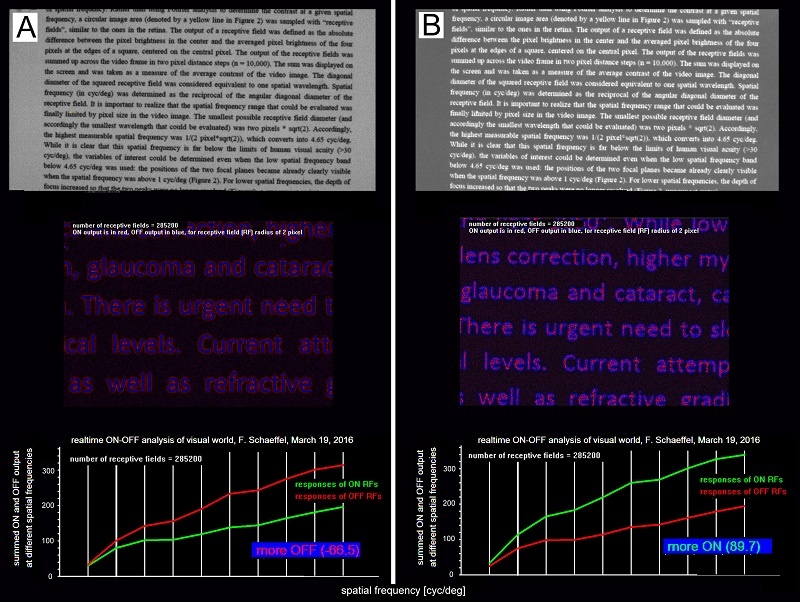 Abbildung 1. Analyse der relativen Stärke der ON- und OFF Reizung bei dunklem...