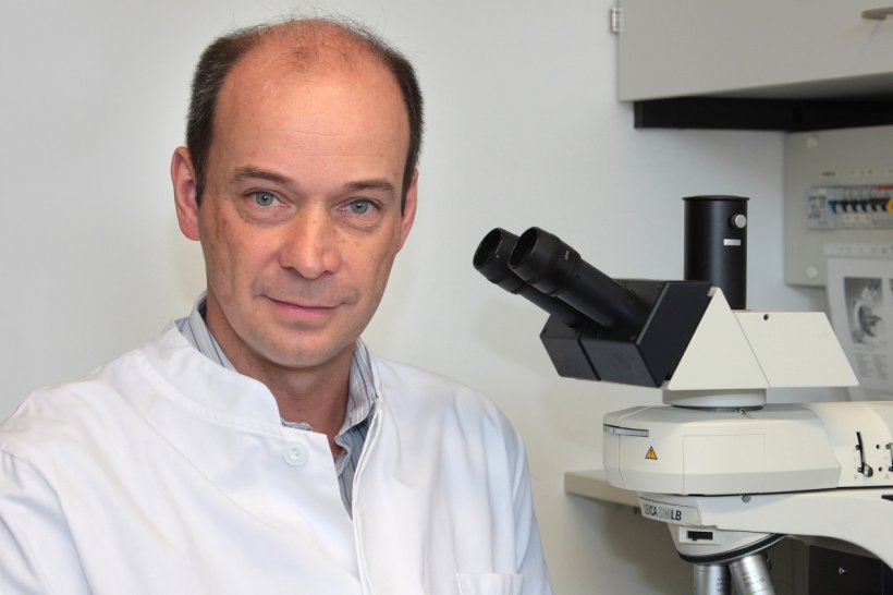 Professor Dr. Dr. André Gessner, Medizinische Mikrobiologie und Hygiene,...