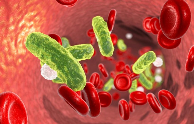 Researchers have discovered that host responses during sepsis progression can...