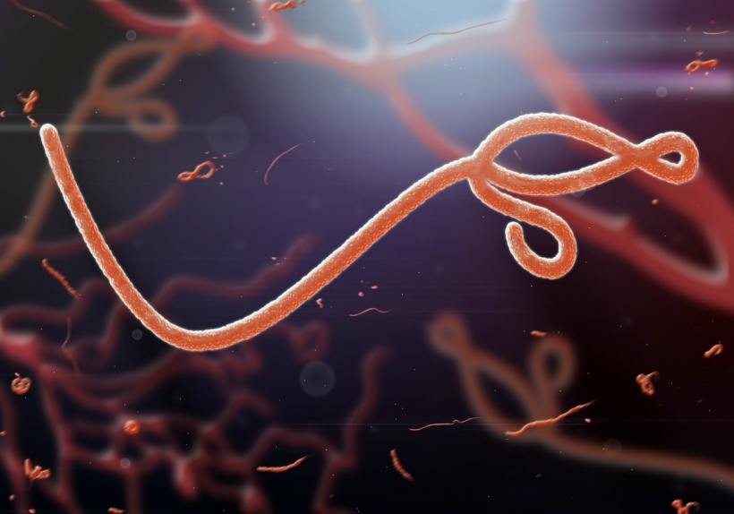The Ebola-virus may persist in the eye, liquor (meningitis) and even in semen.