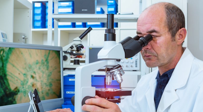laboratory pathology scientist examines biopsy samples