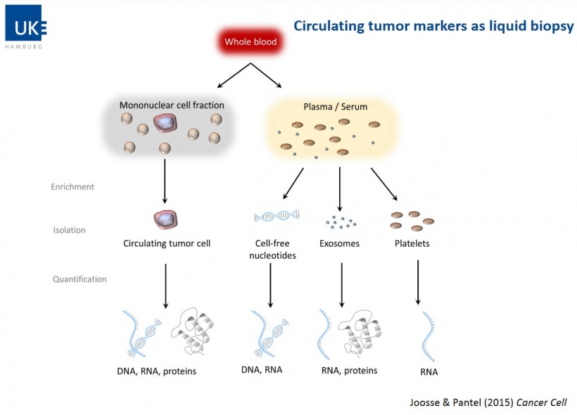 Illustration of liquid biopsy procedure