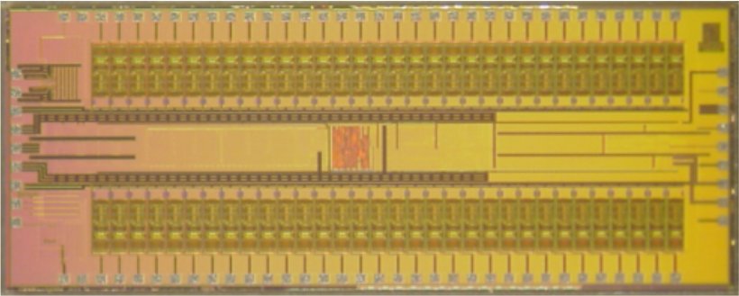 WANDs custom integrated circuits.
