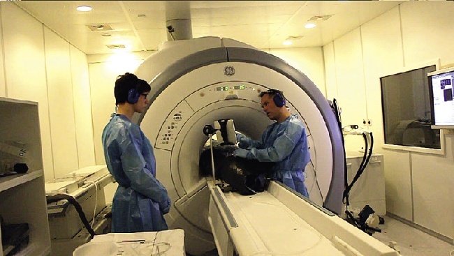 MRI goes wireless