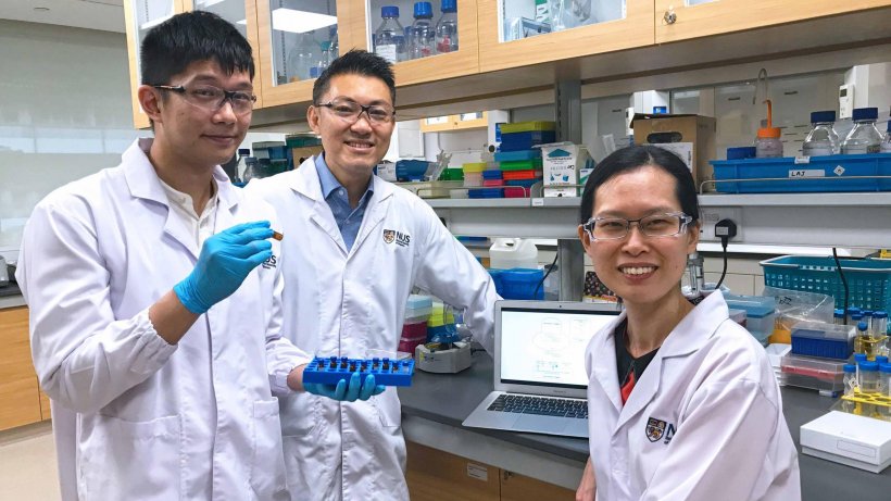 Mr Toh Yi Long (from left), Associate Professor Alexandre Chan and Assistant...