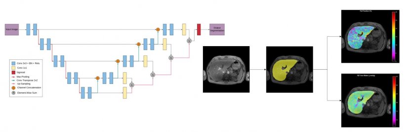 Virtual Dissection by Artificial Intelligence (Data Generation: Quantitative...