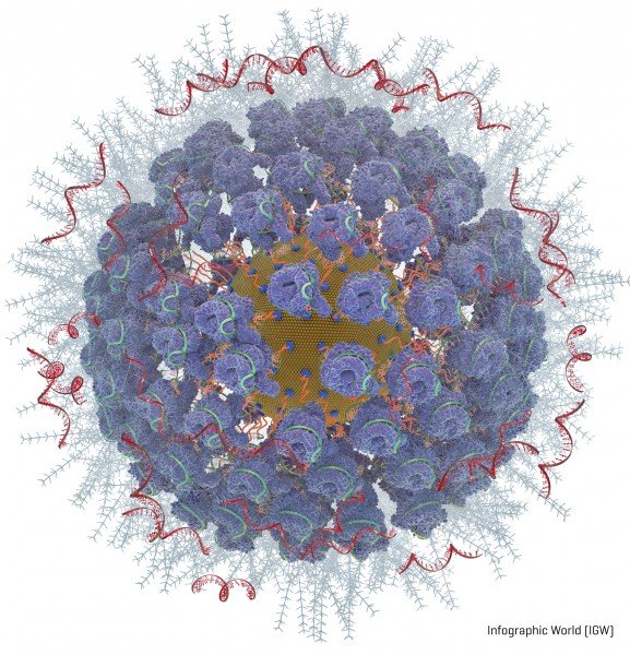 Diagram of a gold nanoparticle loaded with gene editing tools, including CRISPR.