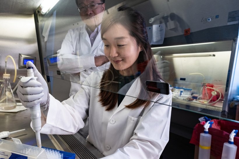 Rice University graduate student So Hyun Park prepares an experiment in the lab...